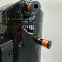pro-pic-detail