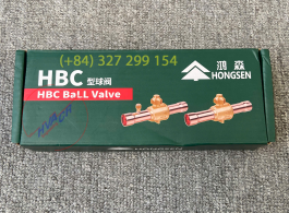 HONGSEN HBC-16V BALL VALVE