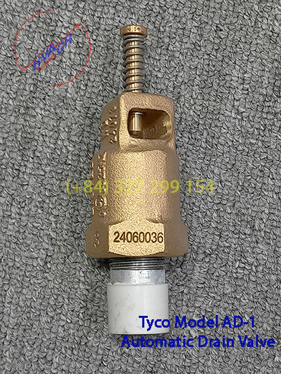 IMG3